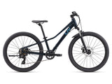 LIV 2025 Tempt 24 Disc - Starry Night - Youth 24" Wheel